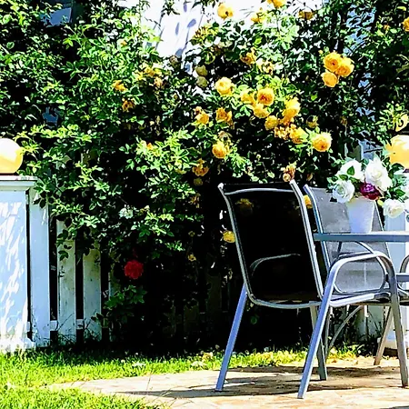 Red House Family بيت ضيافة