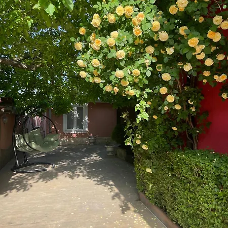 Red House Family رافدا