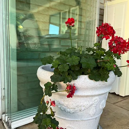 Red House Family * رافدا