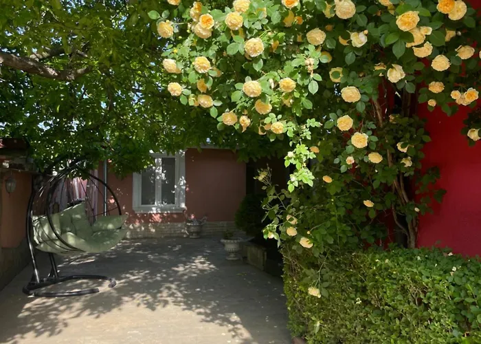 Red House Family رافدا