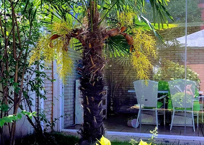 بيت ضيافة Red House Family *