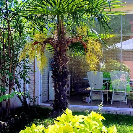 Гостьовий будинок Red House Family *