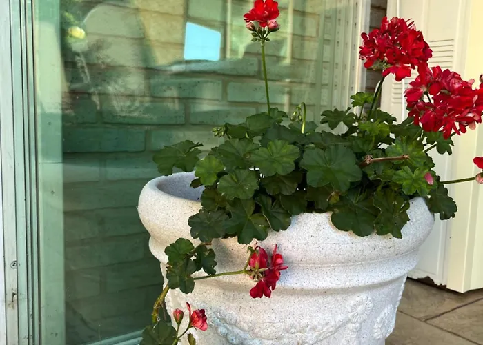 Red House Family * Ράβντα